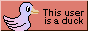 A duck next to a text saying 'This user is a duck'