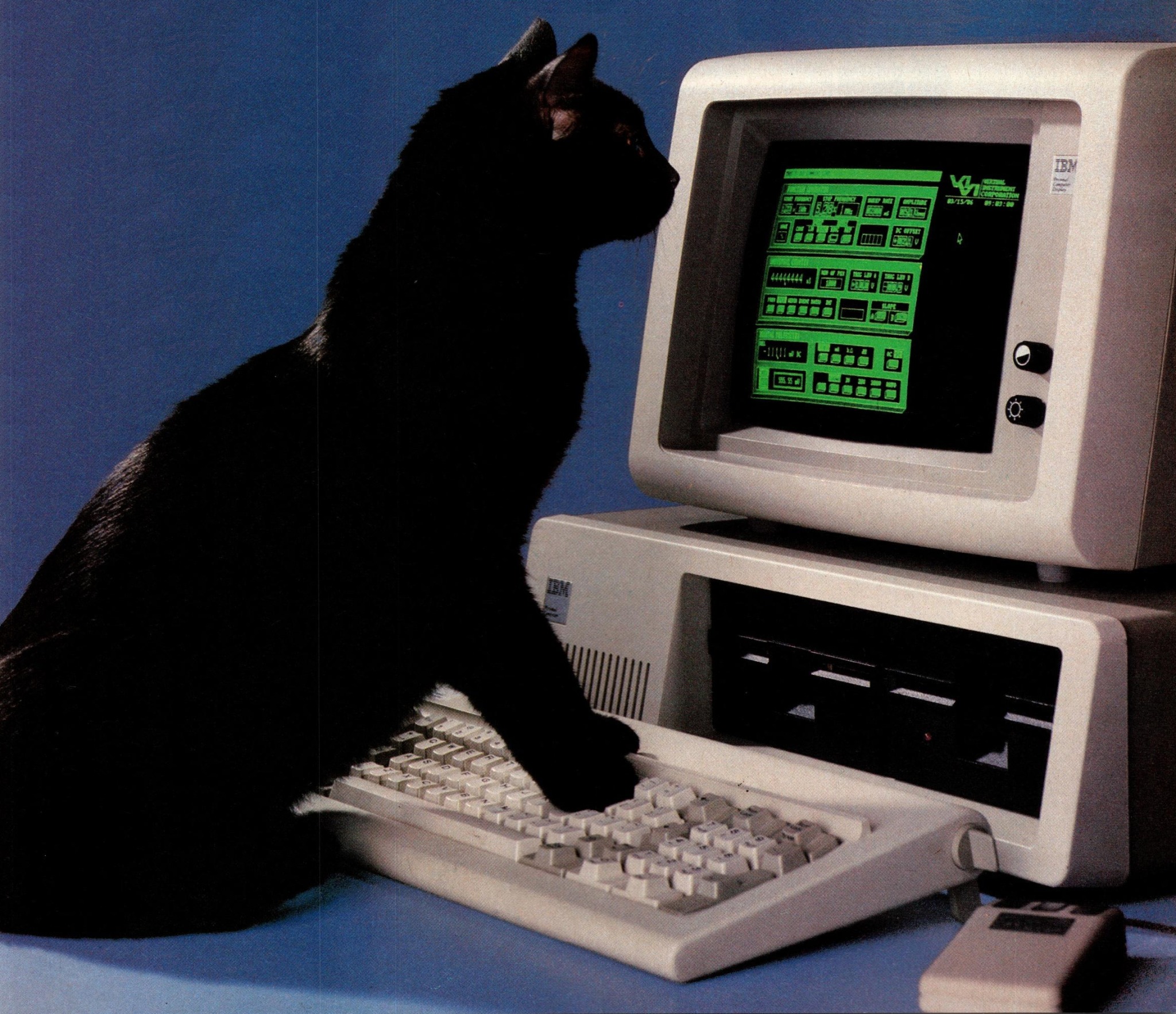 A photo of a black cat using a computer, paws on the keyboard, looking at the CRT monitor